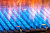 Congelow gas fired boilers